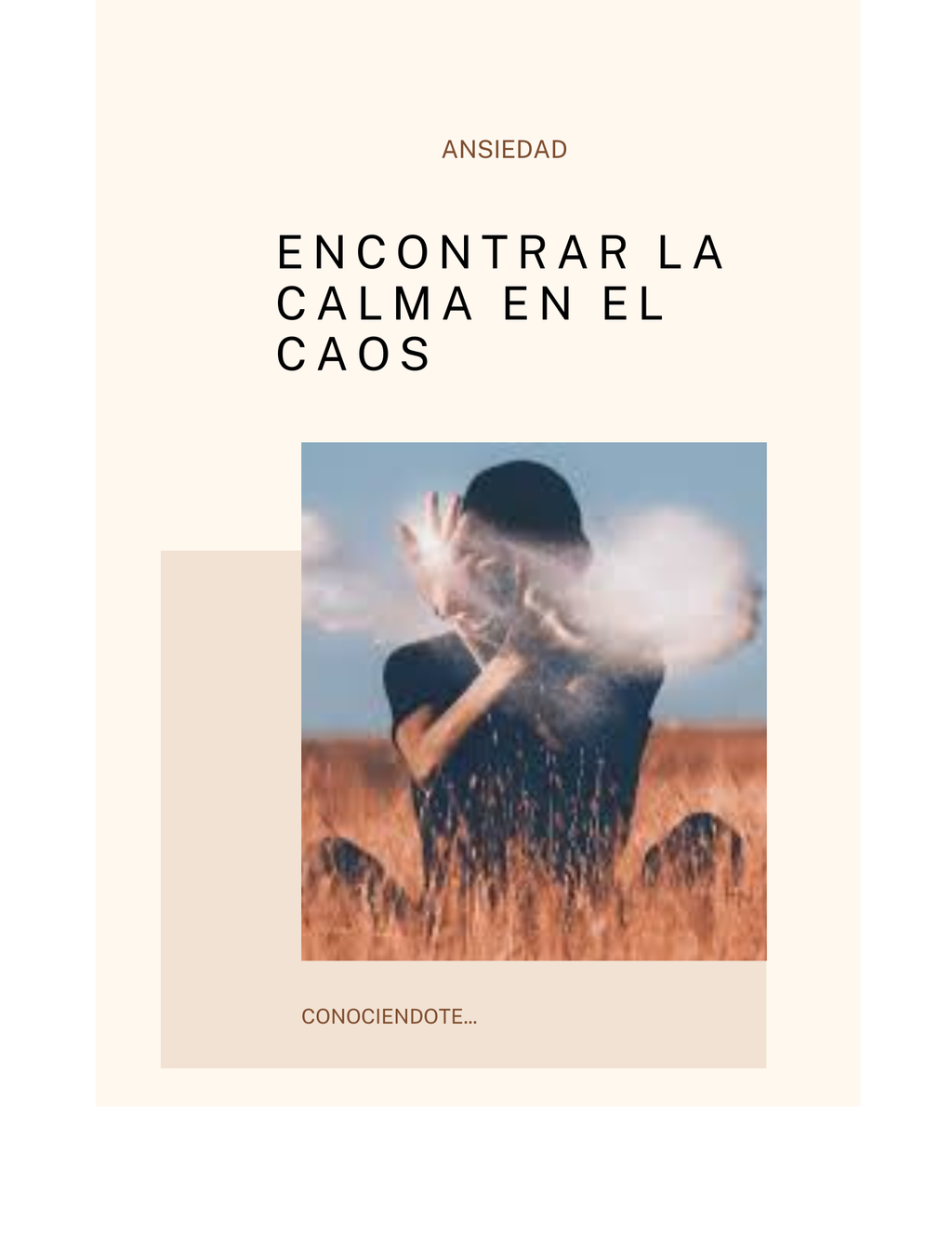 Sobre Carga y Sosten (Diagnostico de sobrecarga informativa y protocolo para el sosten de proyectos a largo plazo)