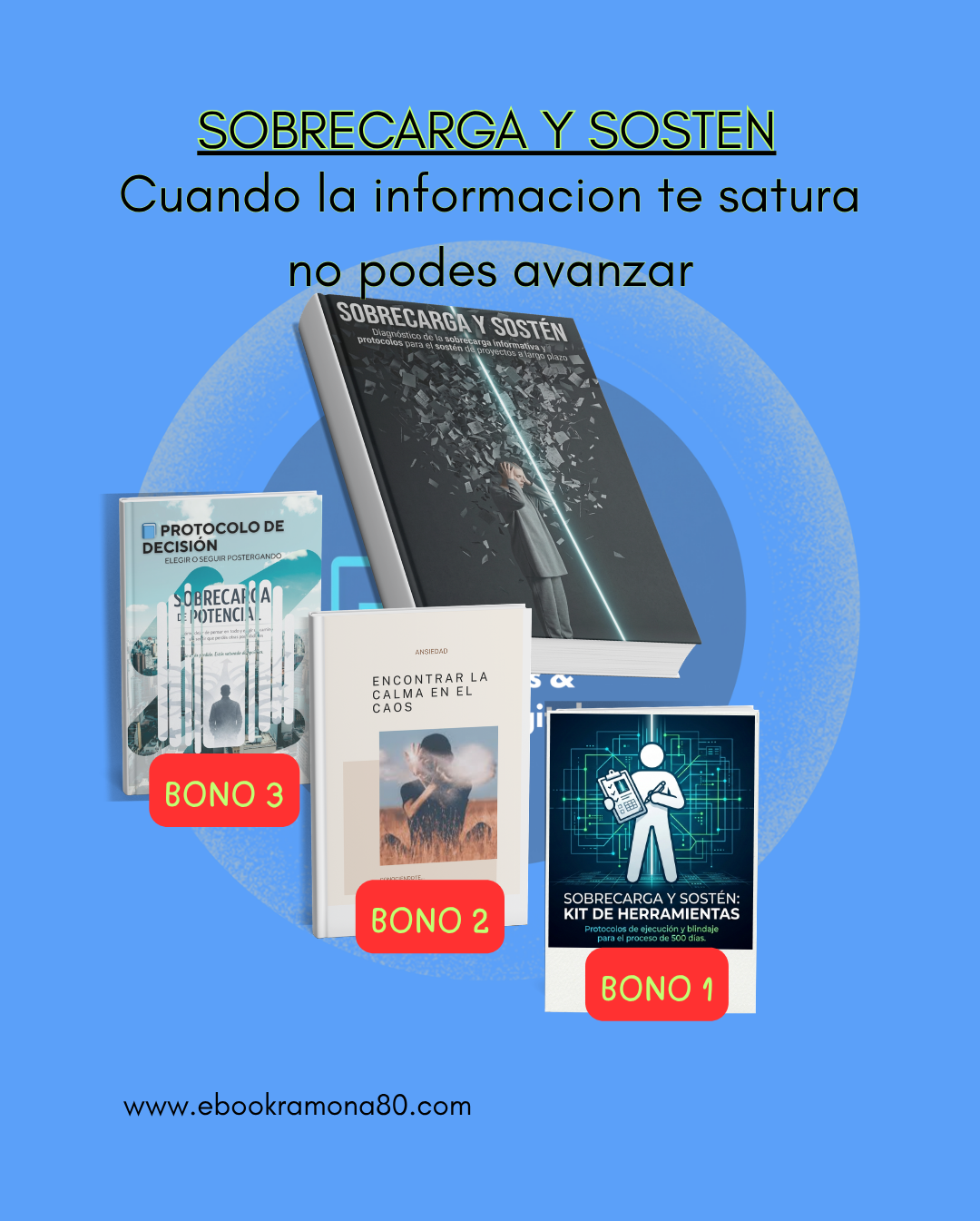 Sobre Carga y Sosten (Diagnostico de sobrecarga informativa y protocolo para el sosten de proyectos a largo plazo)