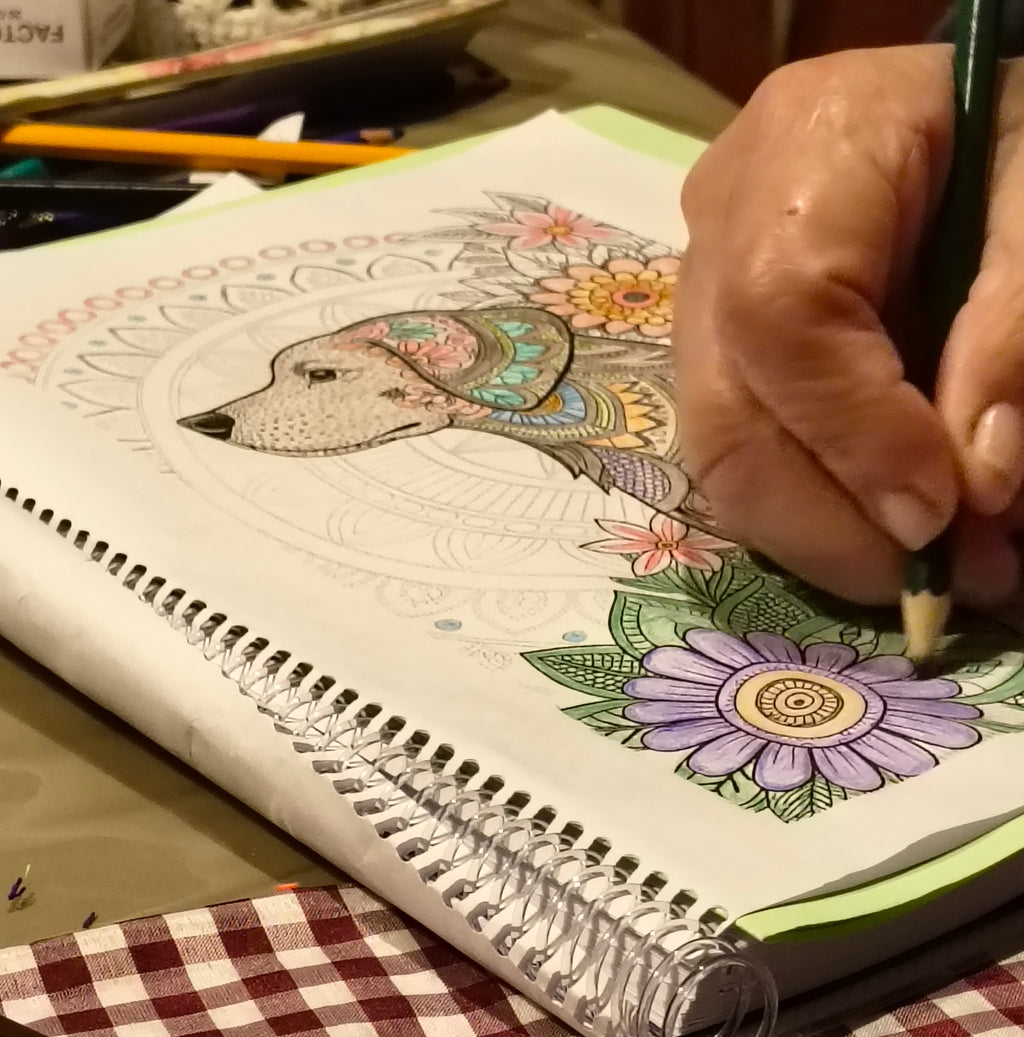 El Método del Color - Kit Imprimible Anti-Ansiedad